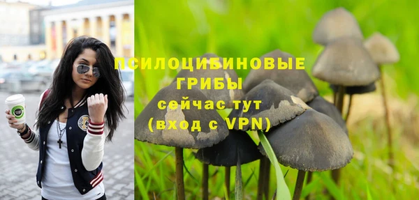 стафф Надым