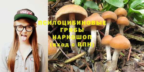 молекула духа Ахтубинск