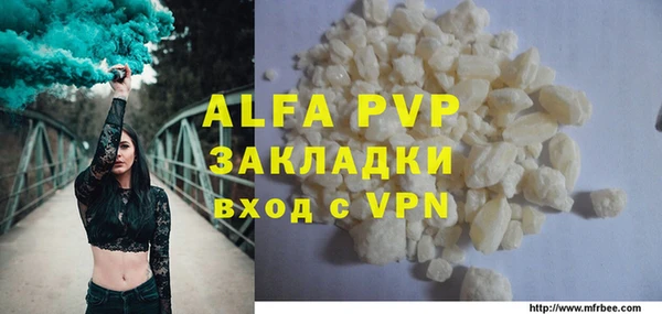 стафф Надым