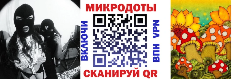 сколько стоит  Боровичи  Псилоцибиновые грибы ЛСД 