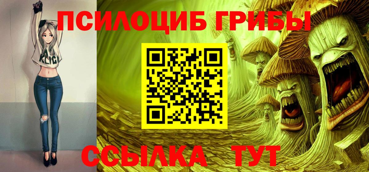 Псилоцибиновые грибы Psilocybine cubensis Боровичи